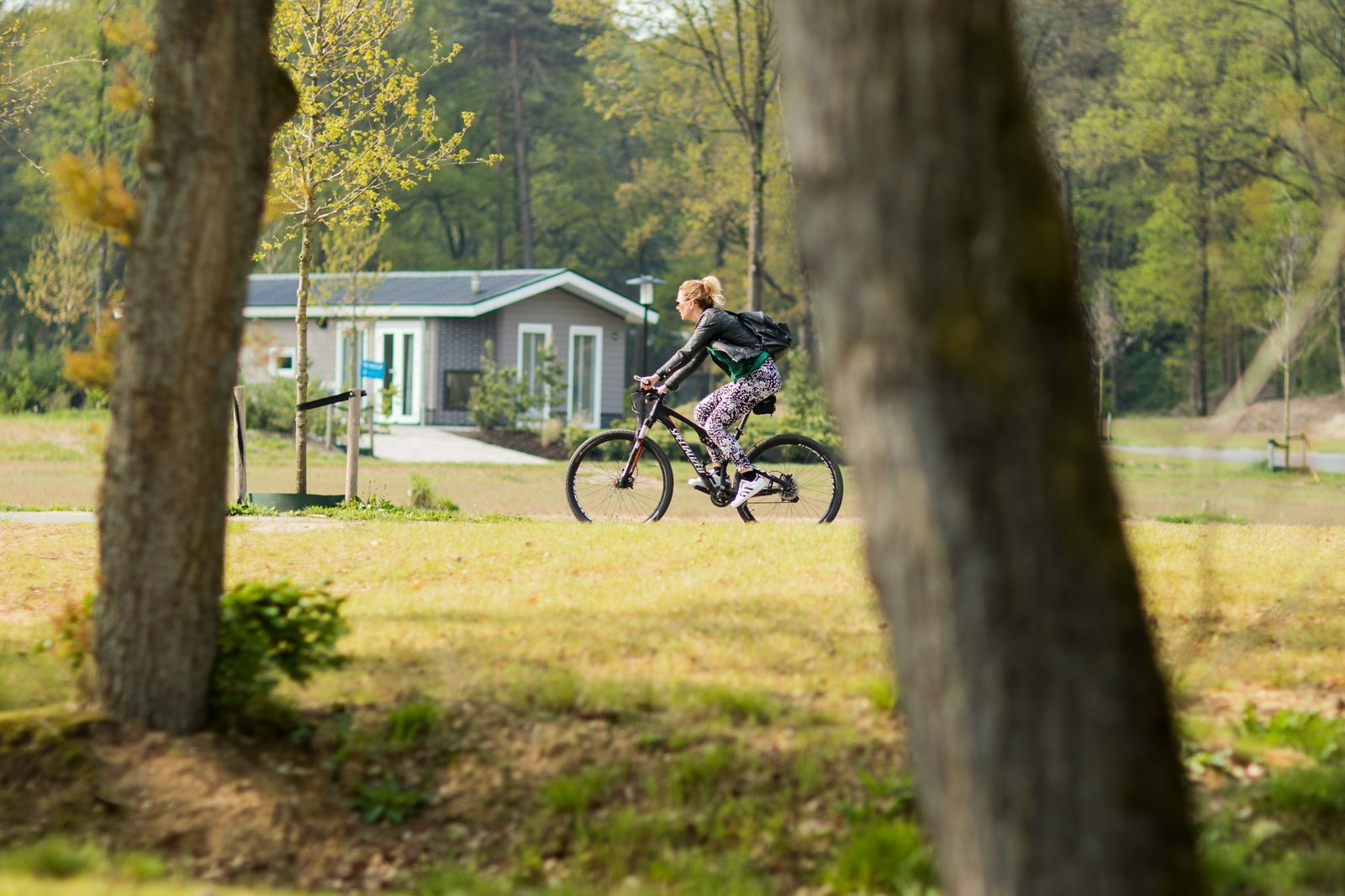 Mountainbikeroutes Veluwe