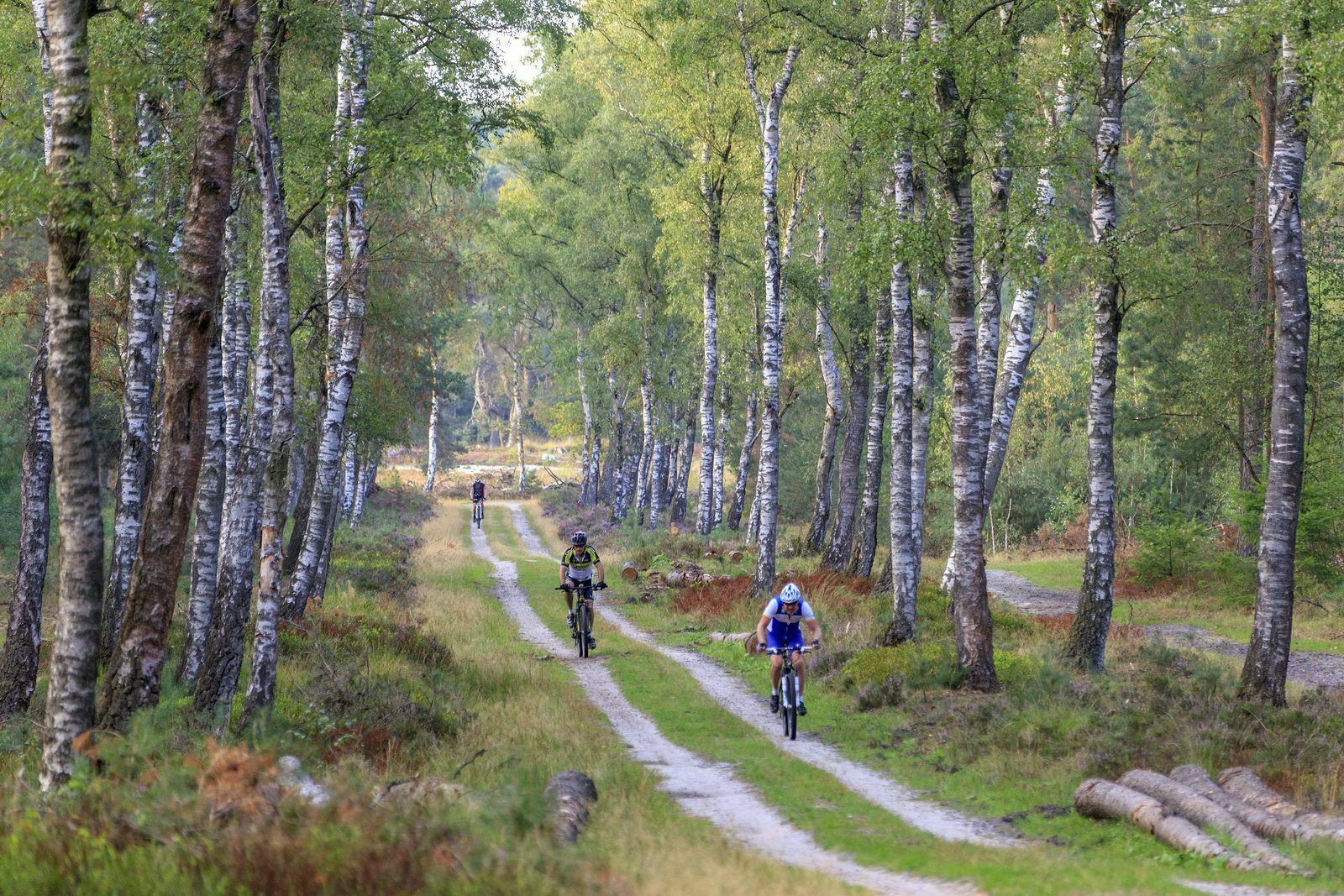MTB routes Veluwe
