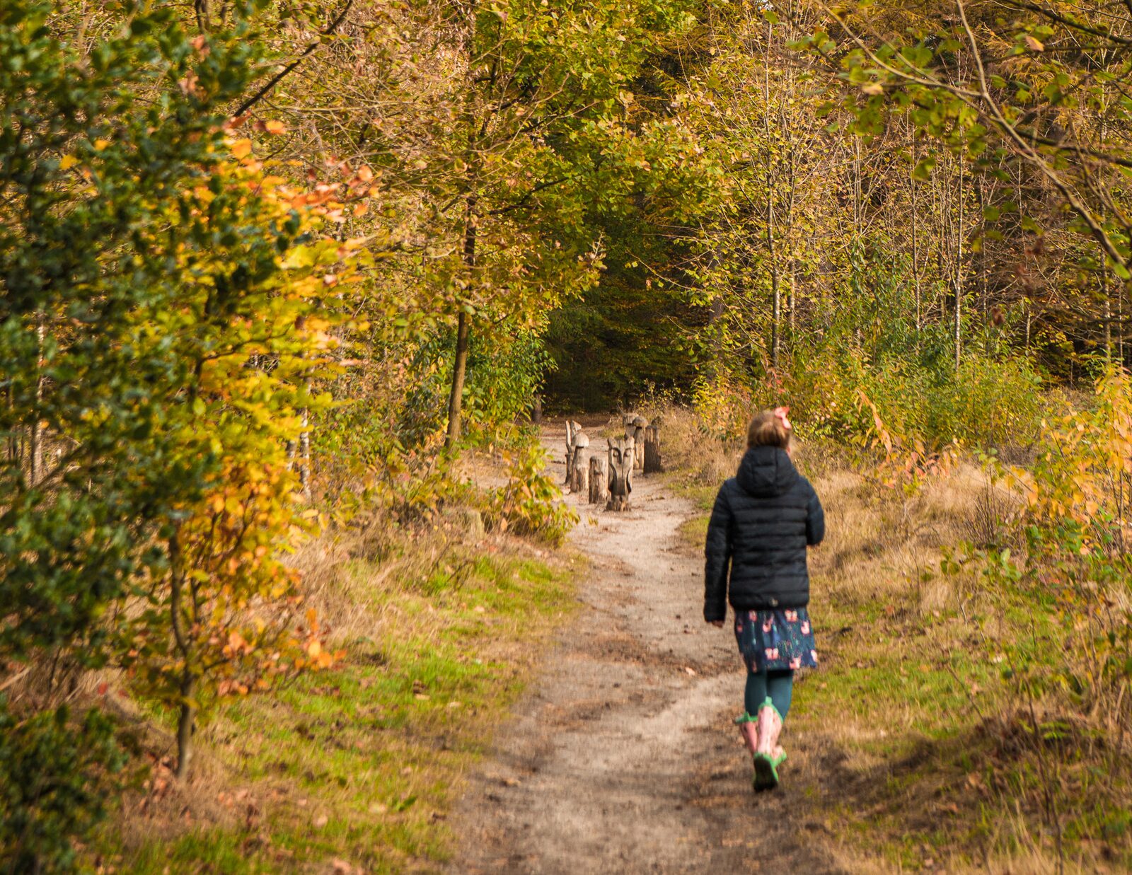 Speurtocht in het bos