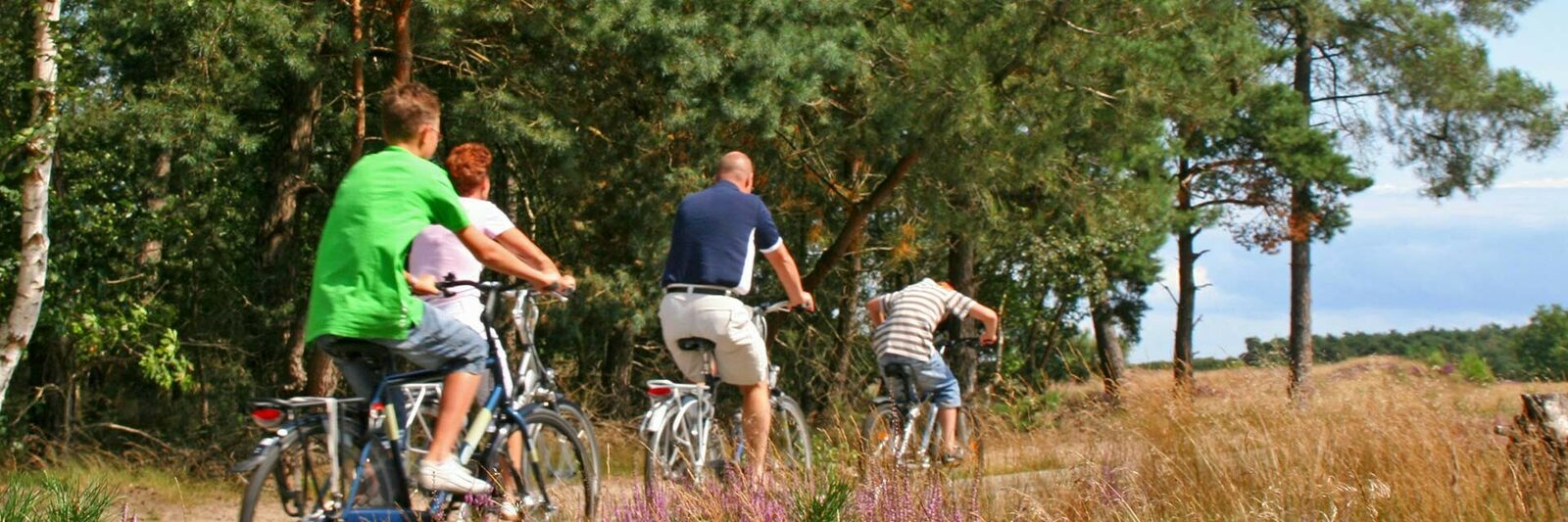 Fochteloerveen