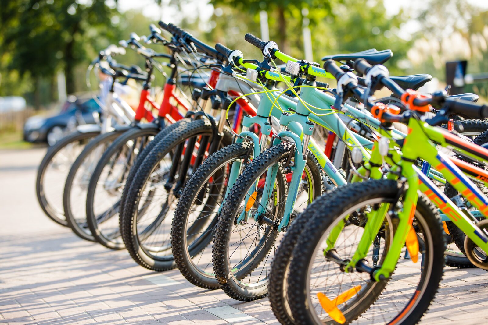 Bicycle and scooter rental Bicycle and scooter rental