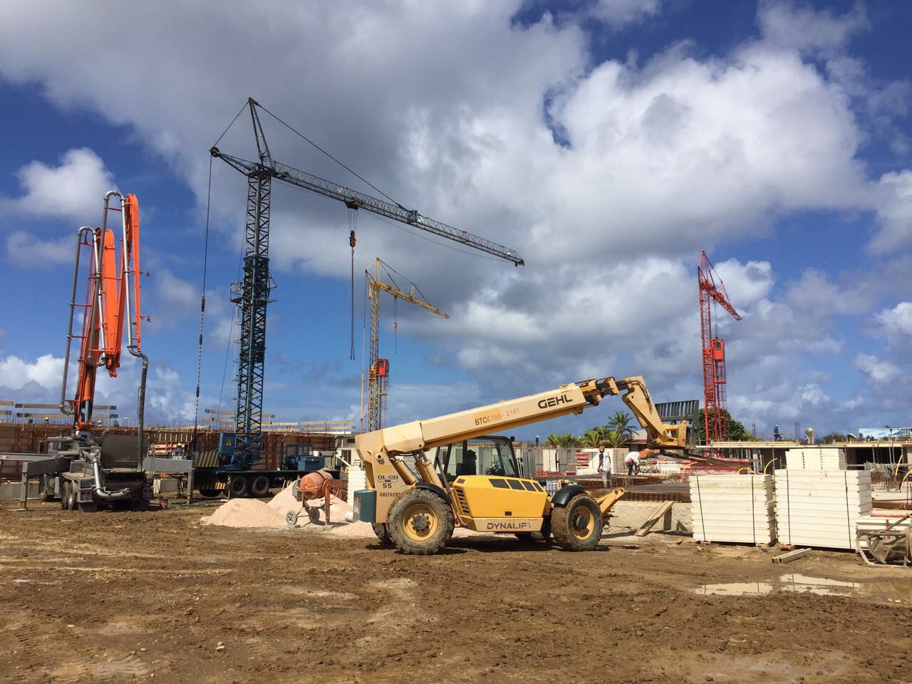 Kranen van de bouwmaatschappij op Resort Bonaire Grues