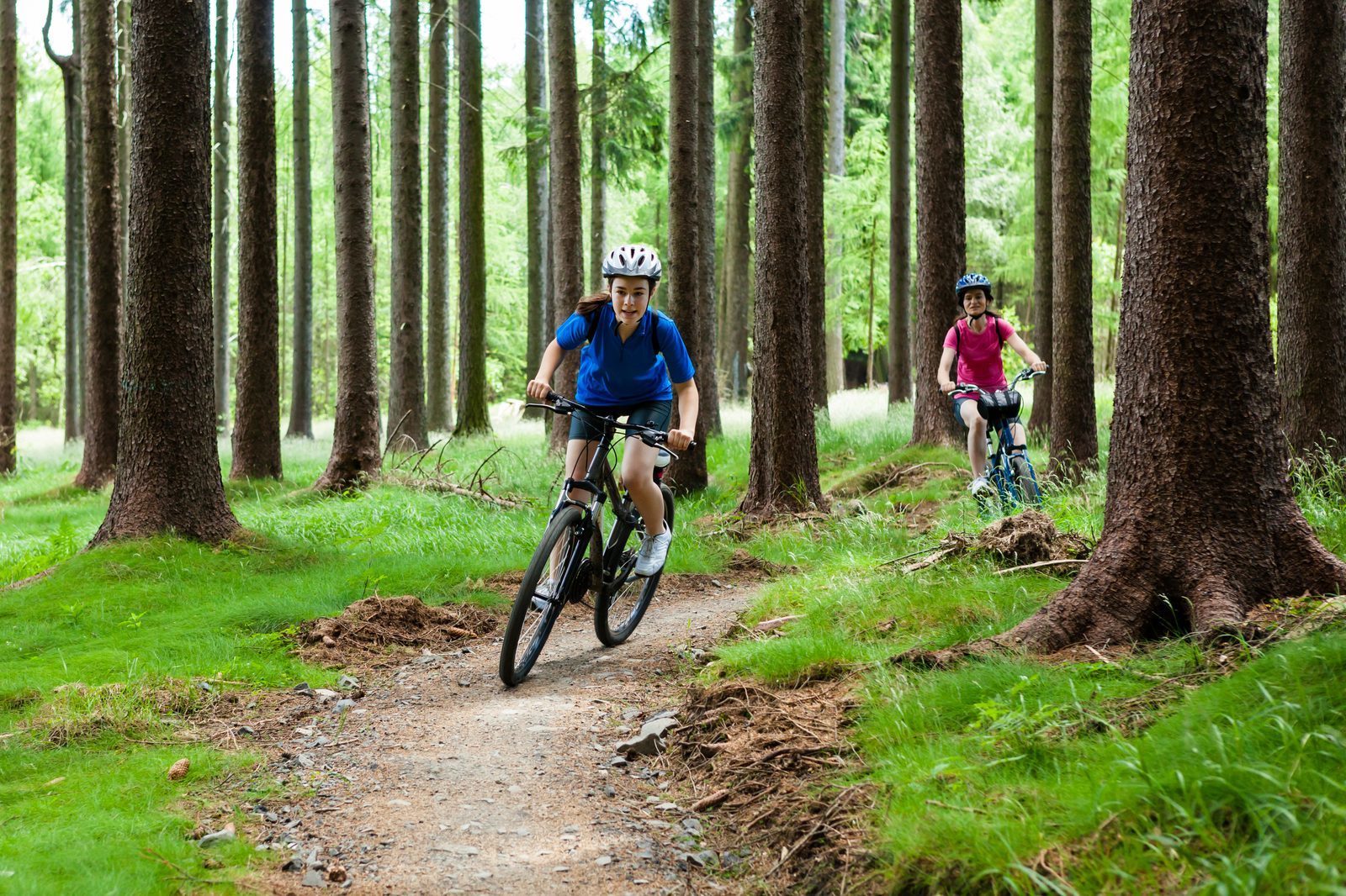 Mountainbiken Veluwe