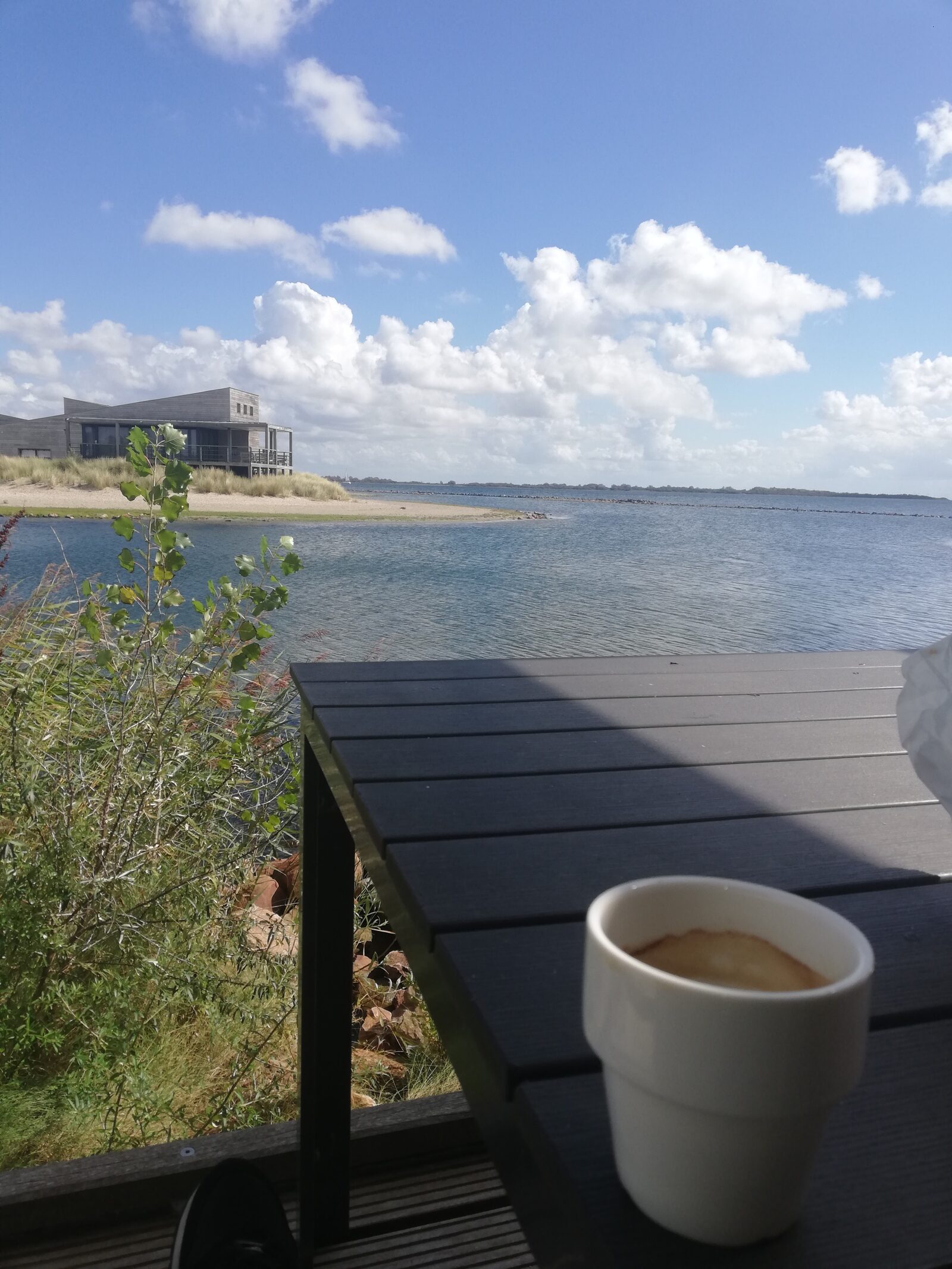 Oasis Punt-West | Ochtendzon vanaf het terras