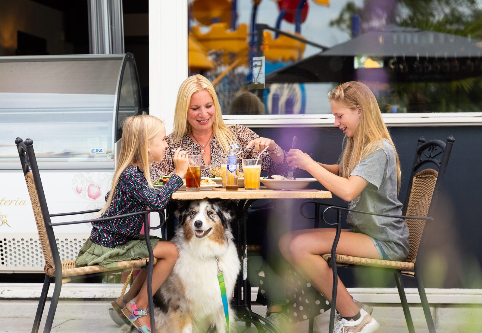 Weekend getaway with your dog